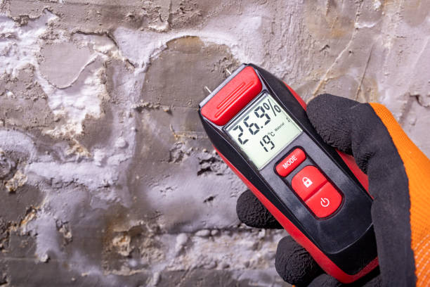 Best Post-Remediation Services in Drumright, OK